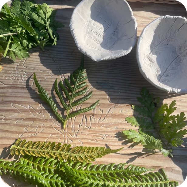 Fern fronds and clay bowls laid out on a workbench