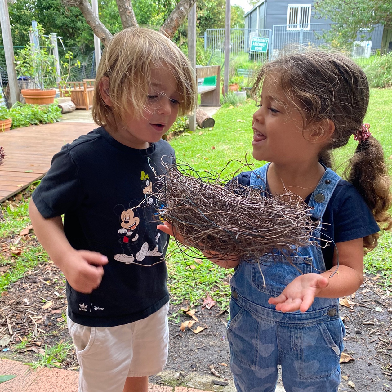Two children in the garden holding a bird's nest between them